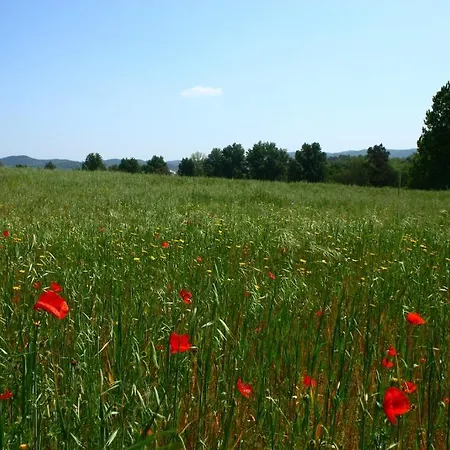 Kır Evi Casa Rural La Zafrilla Jerez De Los Caballeros