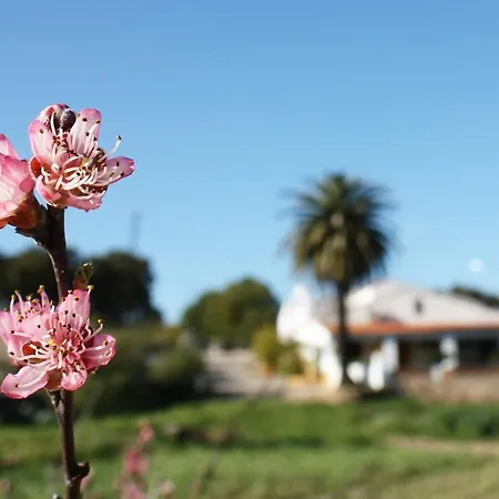 Country house Casa Rural La Zafrilla *