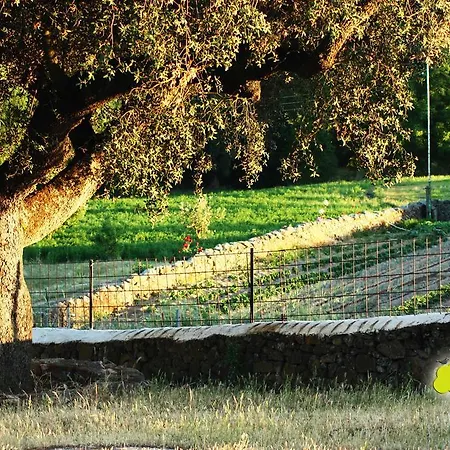 Casa Rural La Zafrilla