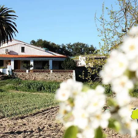 Casa Rural La Zafrilla *