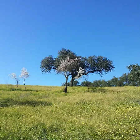 Kır Evi Casa Rural La Zafrilla