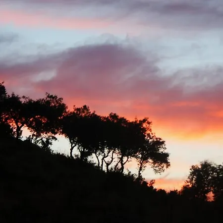 Kır Evi Casa Rural La Zafrilla Jerez De Los Caballeros