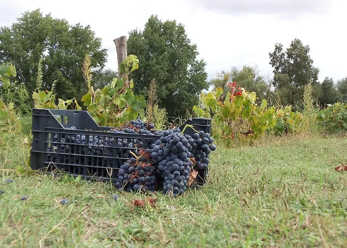 Casa Rural La Zafrilla Séjour à la campagne Jerez De Los Caballeros