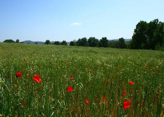 Séjour à la campagne Casa Rural La Zafrilla Jerez De Los Caballeros