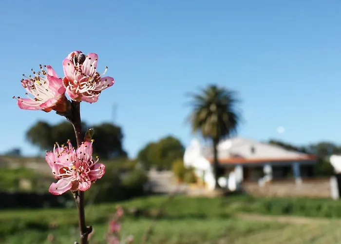 Séjour à la campagne Casa Rural La Zafrilla *