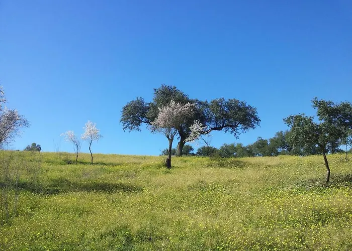 Séjour à la campagne Casa Rural La Zafrilla