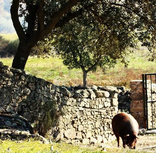 Casa Rural La Zafrilla